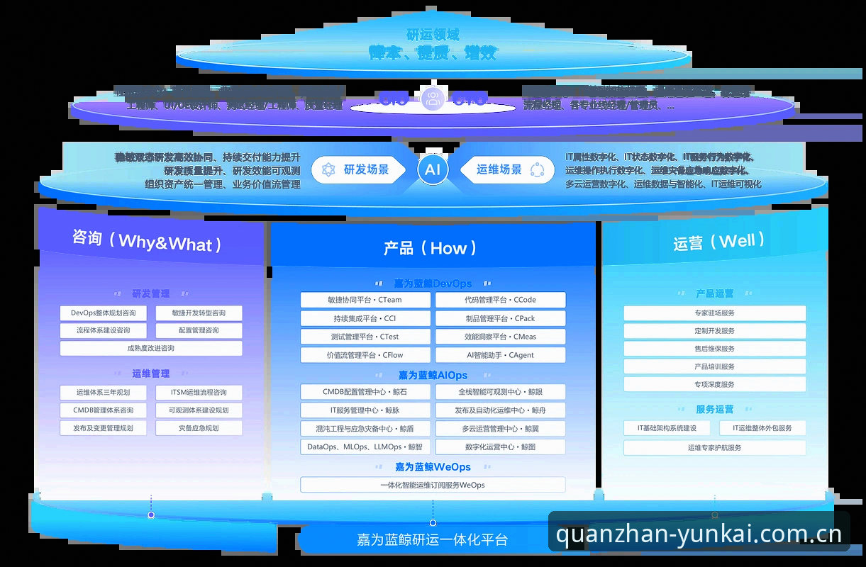 云开登录入口哪个好？多维度评测与实用指南